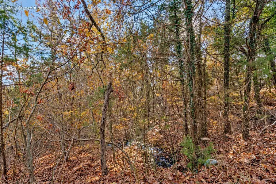 Lot 12 Elm Drive, Kimberling City, MO 65686 - #2