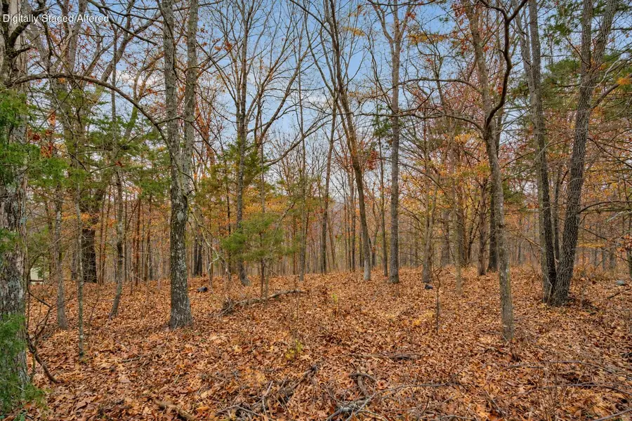 Lot 12 Elm Drive, Kimberling City, MO 65686 - #3