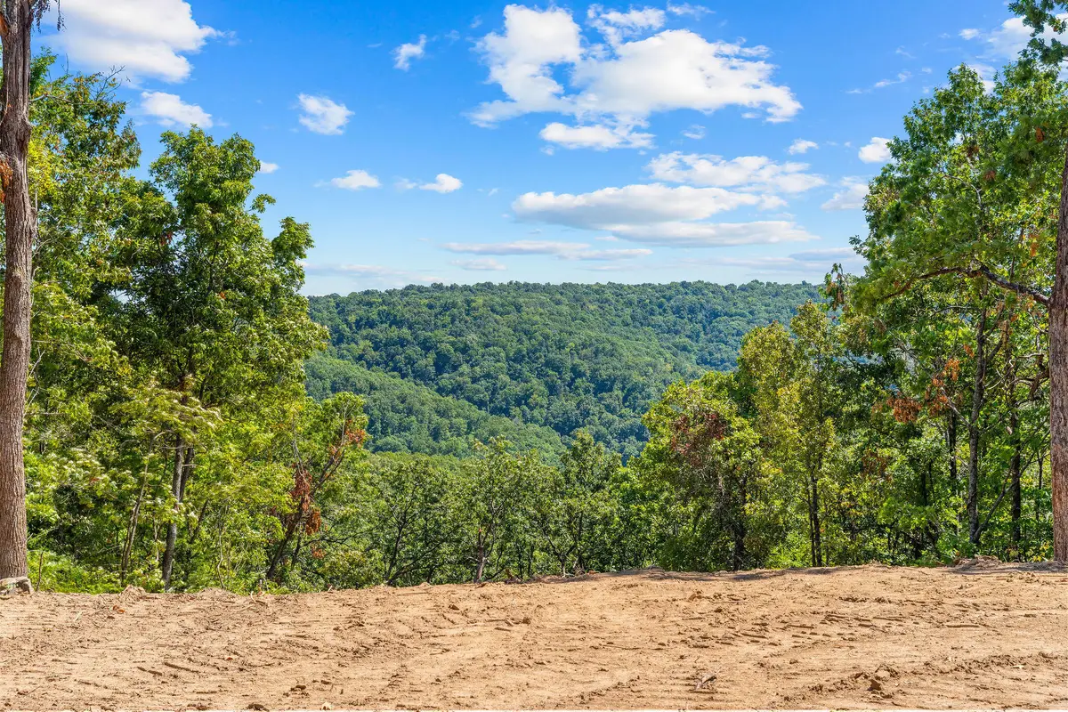 12538 Country Ridge Lane #Lot 14, Omaha, AR 72662 - #1