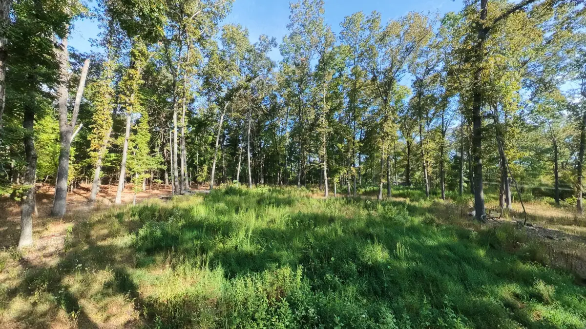 000 Riverbend Road- Lot 14, Mammoth Spring, AR 72554 - #1