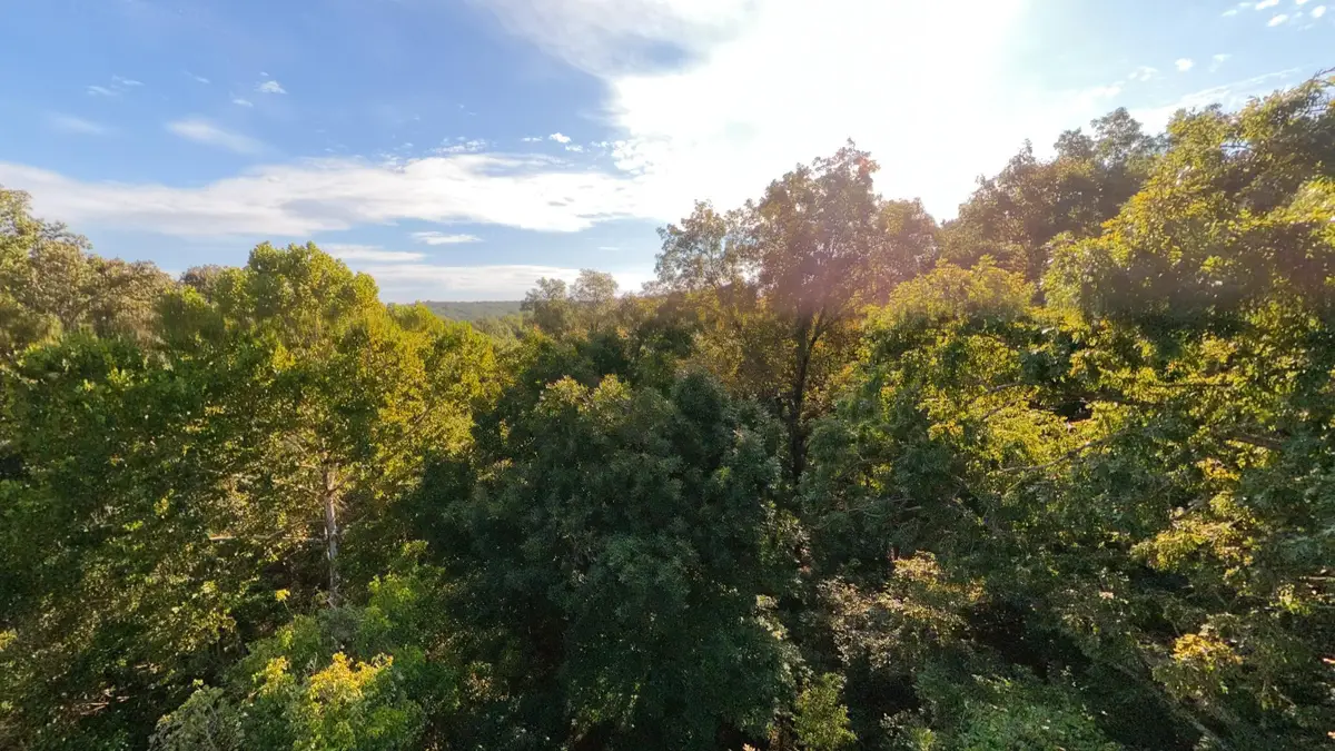 000 Riverbend Road- Lot 18, Mammoth Spring, AR 72554 - #1