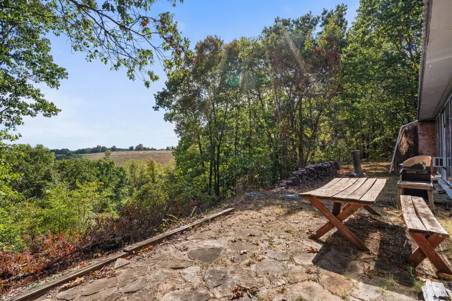 20 Clearview Drive, Blue Eye, MO 65611 - #3
