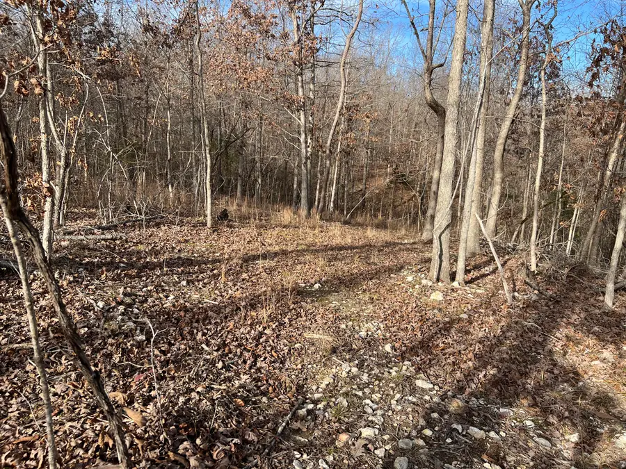 0005 River Oaks Trail, Mammoth Spring, AR 72554 - #2