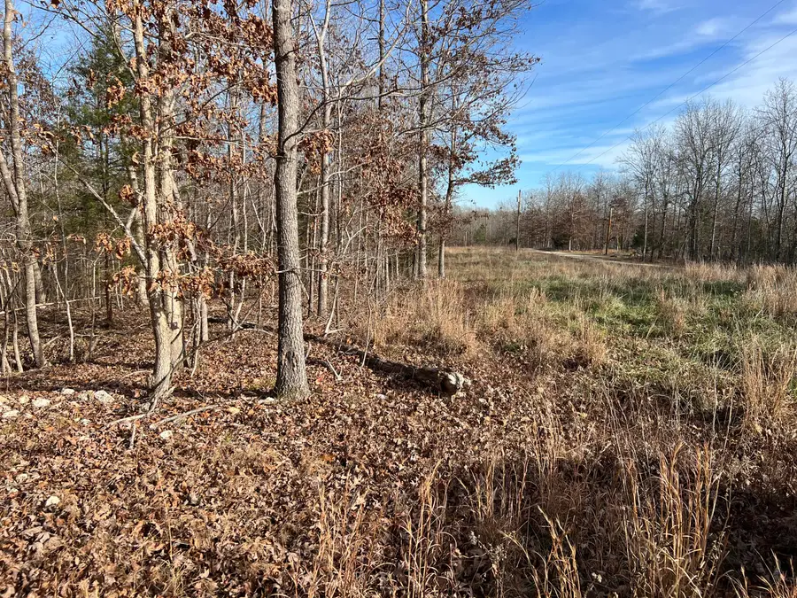 0005 River Oaks Trail, Mammoth Spring, AR 72554 - #3