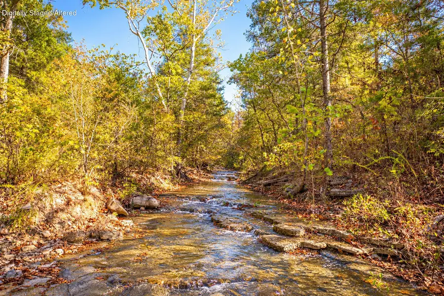Tbd Wolf Road, Walnut Shade, MO 65771 - #2
