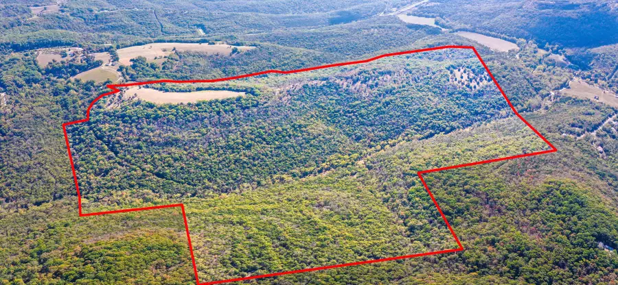 Tbd Wolf Road, Walnut Shade, MO 65771 - #3