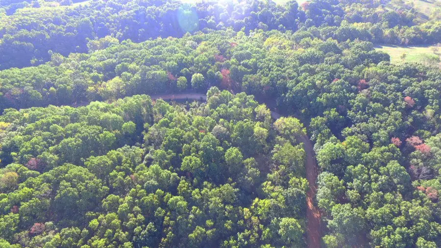 000 Elkhorn Road, Stella, MO 64867 - #2