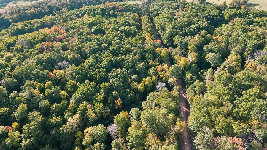 000 Elkhorn Road, Stella, MO 64867 - #3