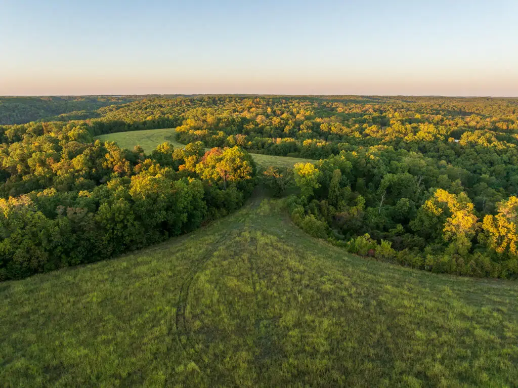 23610 Farm Road 1135, Cassville, MO 65625 - #1