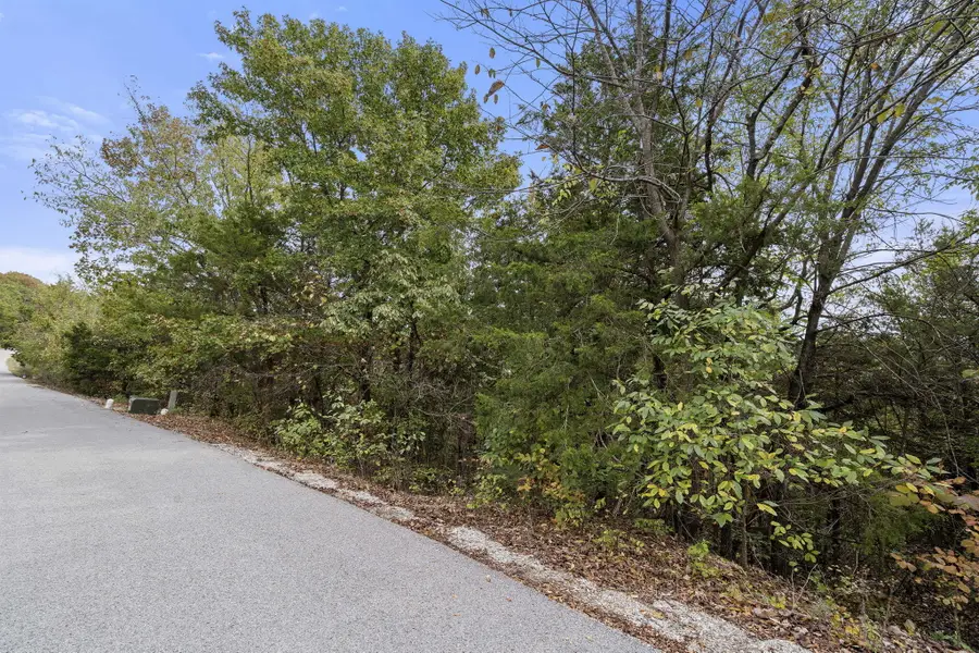 000 Shadow Ridge Drive, Hollister, MO 65672 - #3