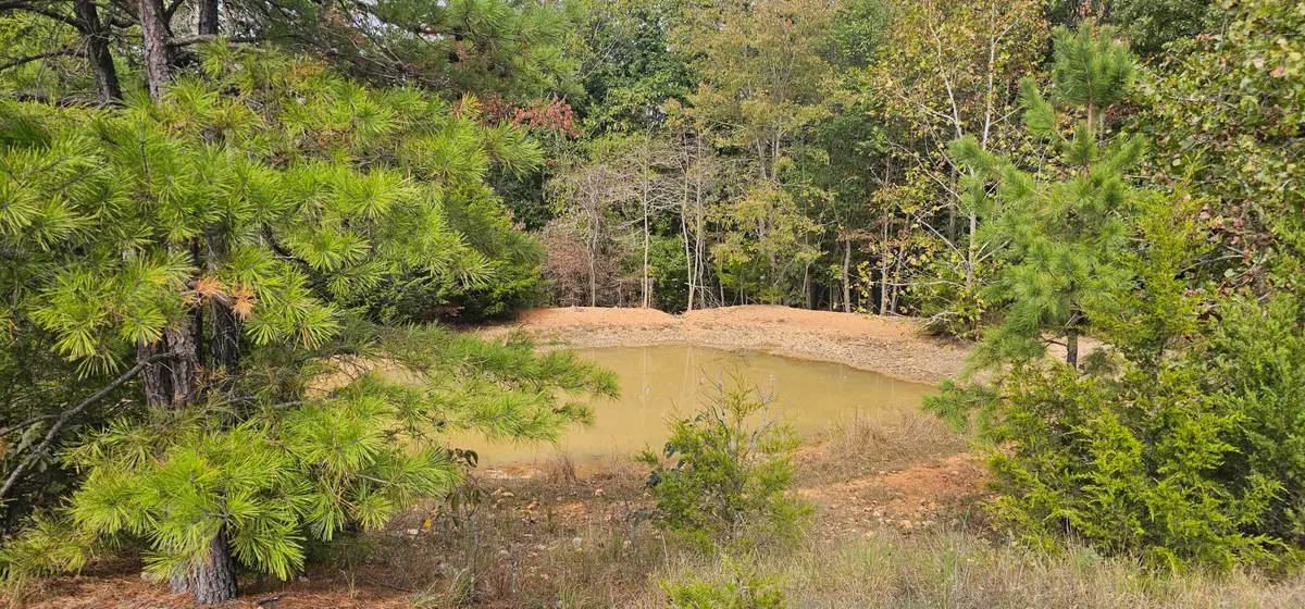 000 State Highway Ff, Zanoni, MO 65784 - #1