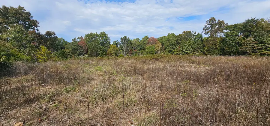 000 State Highway Ff, Zanoni, MO 65784 - #3