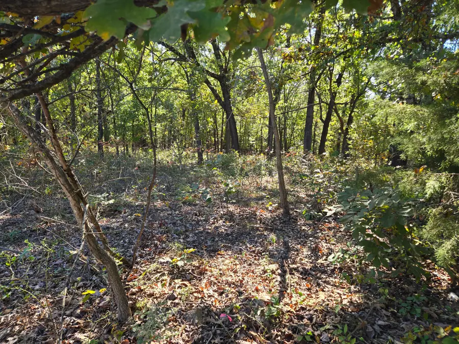 19832 County Road 64 #Tract 1, Wheatland, MO 65779 - #3