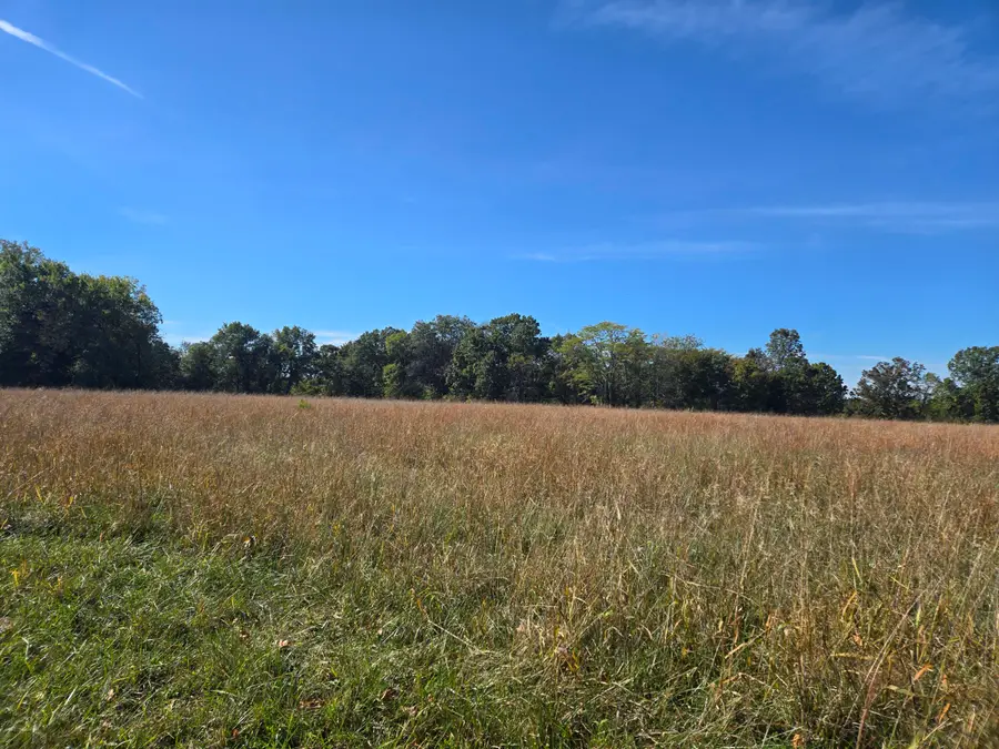 19832 County Road 64 #Tract 4, Wheatland, MO 65779 - #2
