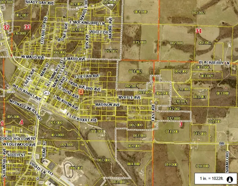 311 College Street, Crane, MO 65633 - #3