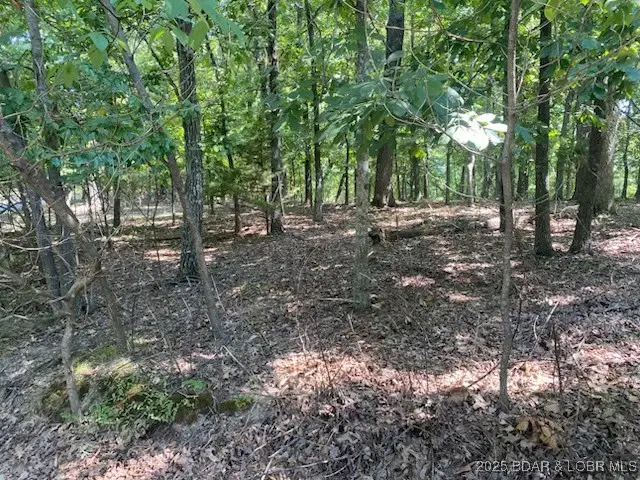 #3