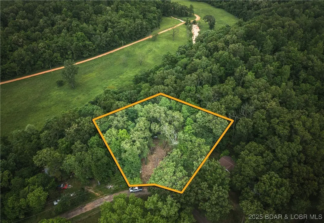 882 Wayne 459 Road, Mill Spring, MO 63957 - #1