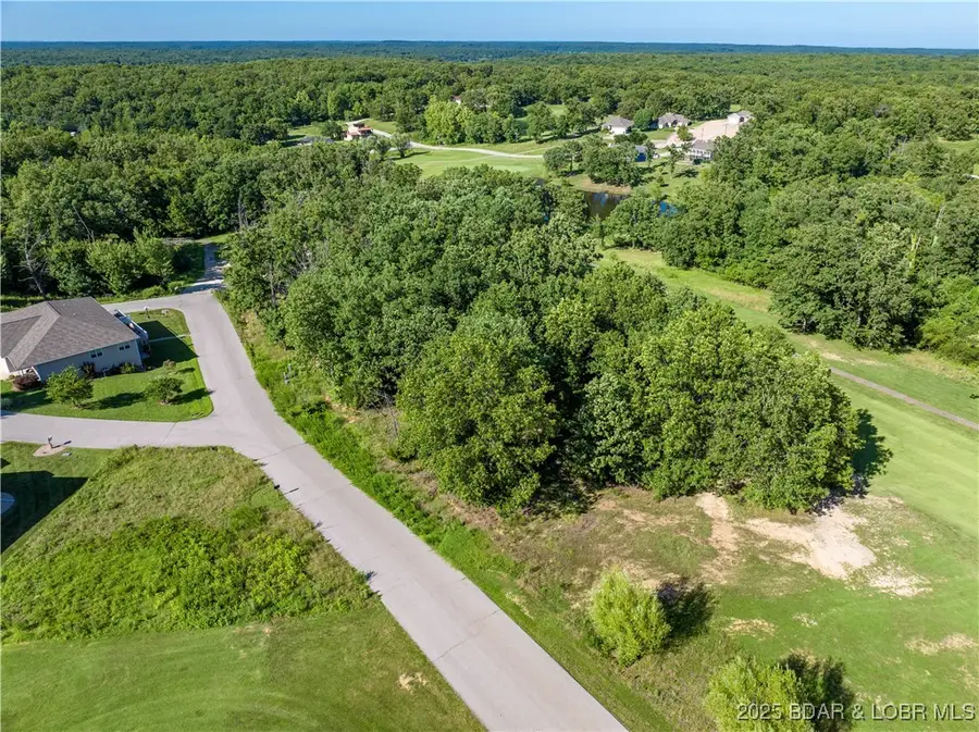 Lot #180 Irwin Drive, Gravois Mills, MO 65037 - Image #3