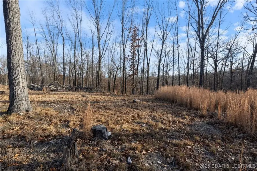 694 Warbonnet Road, Roach, MO 65787 - Image #3