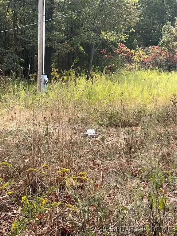 3297 N State Highway 7, Camdenton, MO 65020 - Image #3