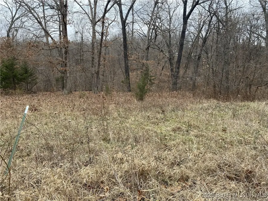 8224 Spirit Lane, Gravois Mills, MO 65037 - Image #2