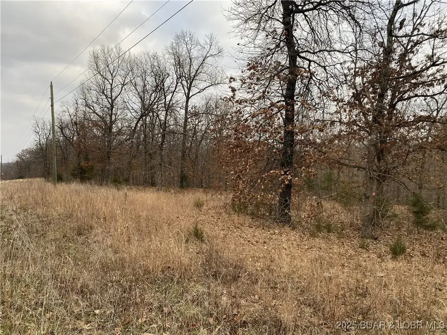 8272 Spirit Lane, Gravois Mills, MO 65037 - Image #3