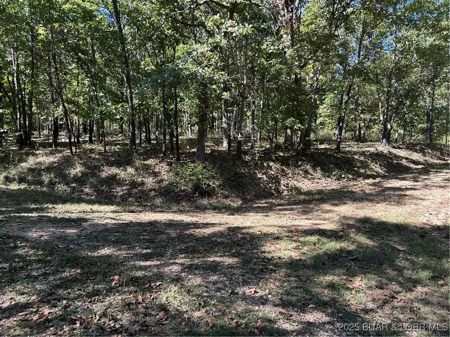 Off Kip Drive, Edwards, MO 65326 - Image #2