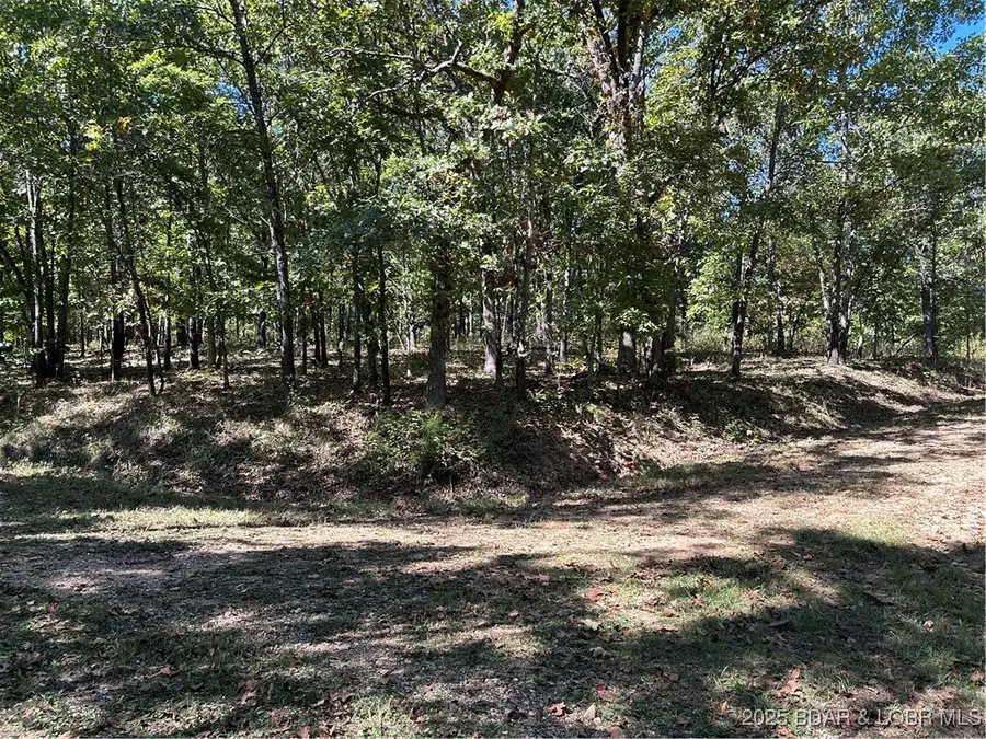 Off Kip Drive, Edwards, MO 65326 - Image #3