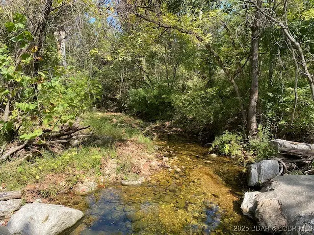 TBD Possum Hollow Drive, Camdenton, MO 65020 - Image #1