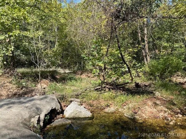 TBD Possum Hollow Drive, Camdenton, MO 65020 - Image #2