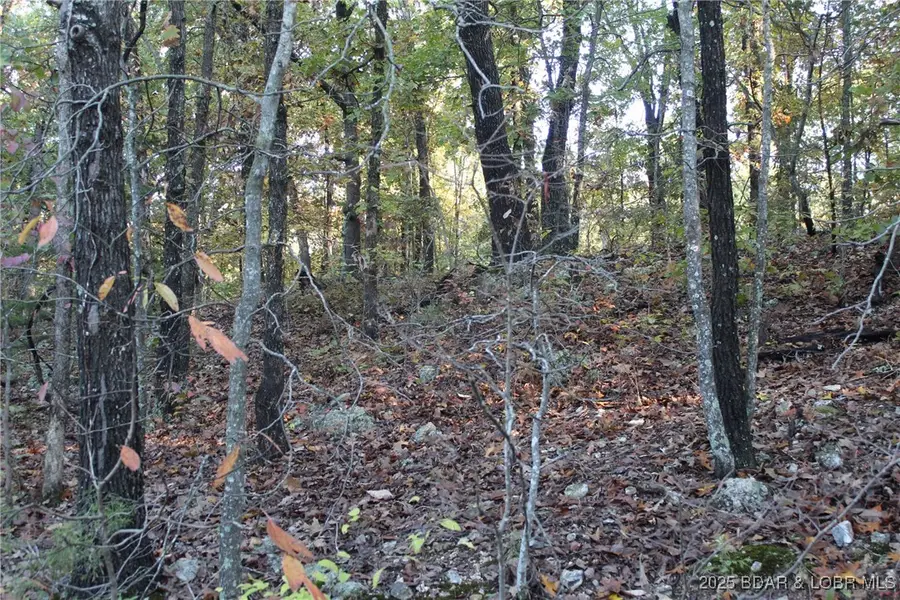 TBD Apache Lane, Rocky Mount, MO 65072 - Image #2