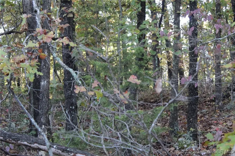 TBD Apache Lane, Rocky Mount, MO 65072 - Image #3