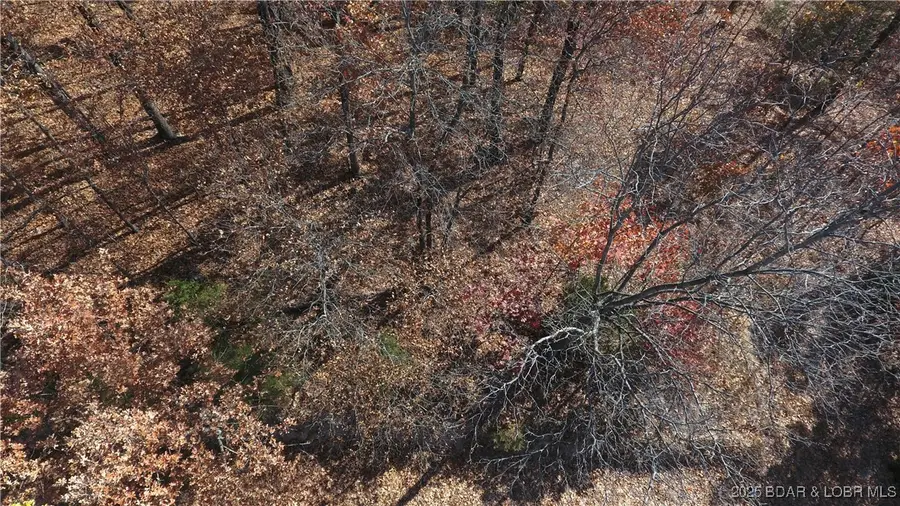 Lot 64 Dennison Drive, Linn Creek, MO 65052 - Image #3