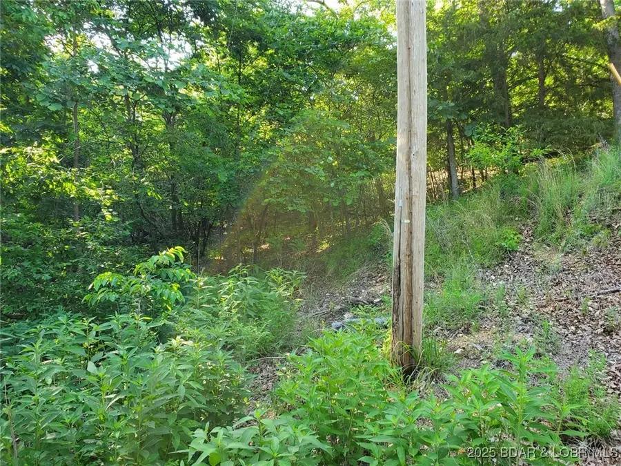 Alcorn Hollow Road, Roach, MO 65787 - Image #2