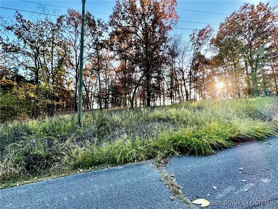 lot 17 Lake Horizons Road, Gravois Mills, MO 65037 - Image #2
