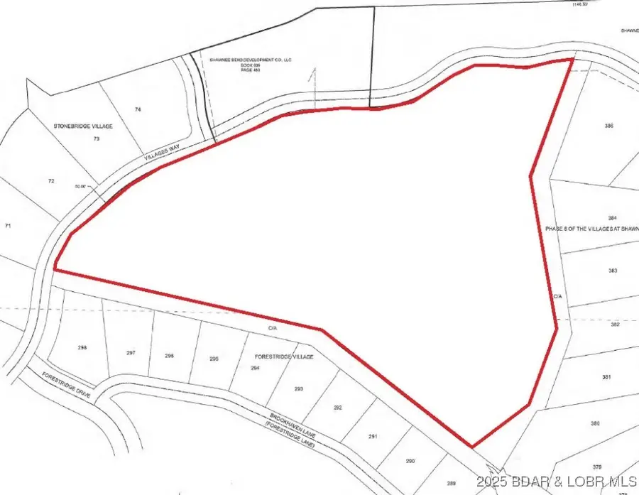 234 Villages Way, Jasper, MO 65079 - Image #2