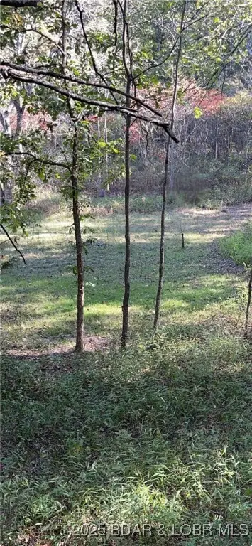 Tbd Quail Run, Preston, MO 65732 - Image #3