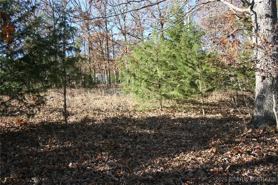 TBD Lodge Drive, Edwards, MO 65326 - Image #2