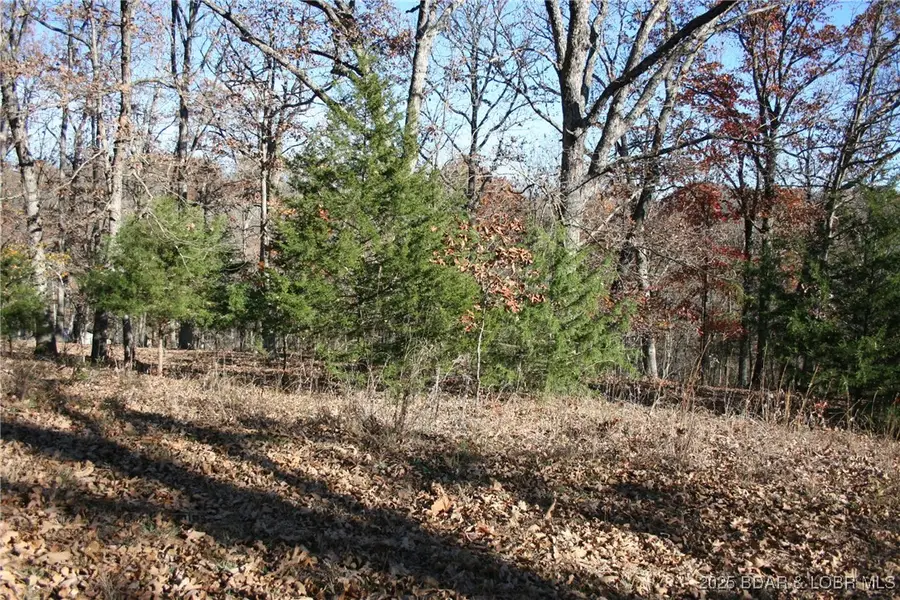 TBD Lodge Drive, Edwards, MO 65326 - Image #3