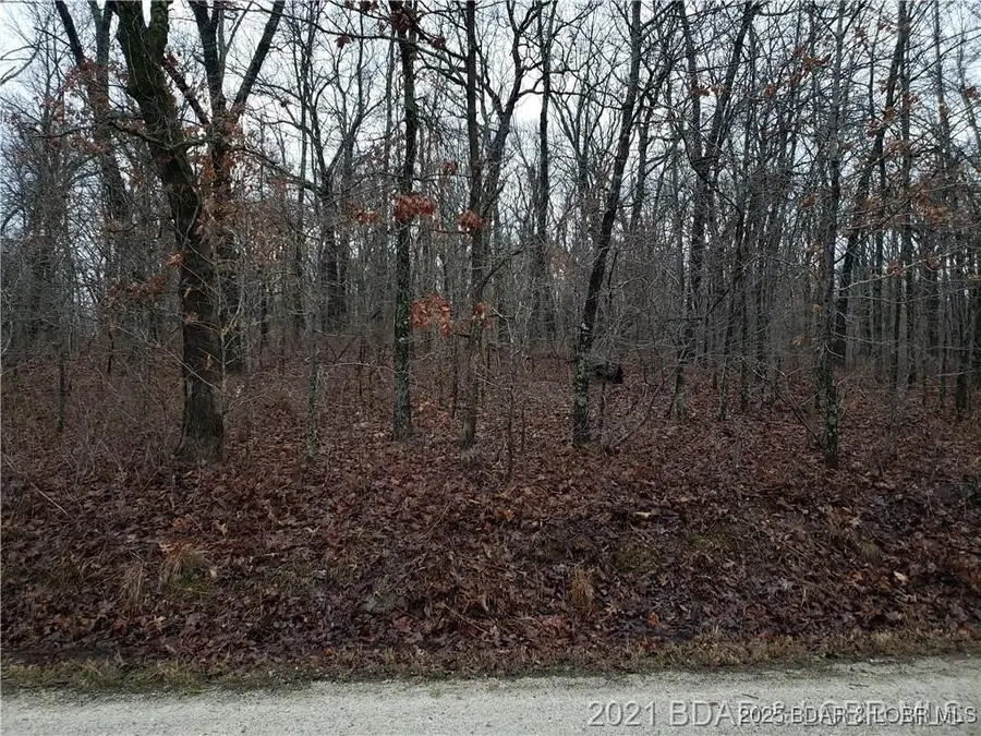 29991 & 29992 Guccione Place, Edwards, MO 65326 - Image #3