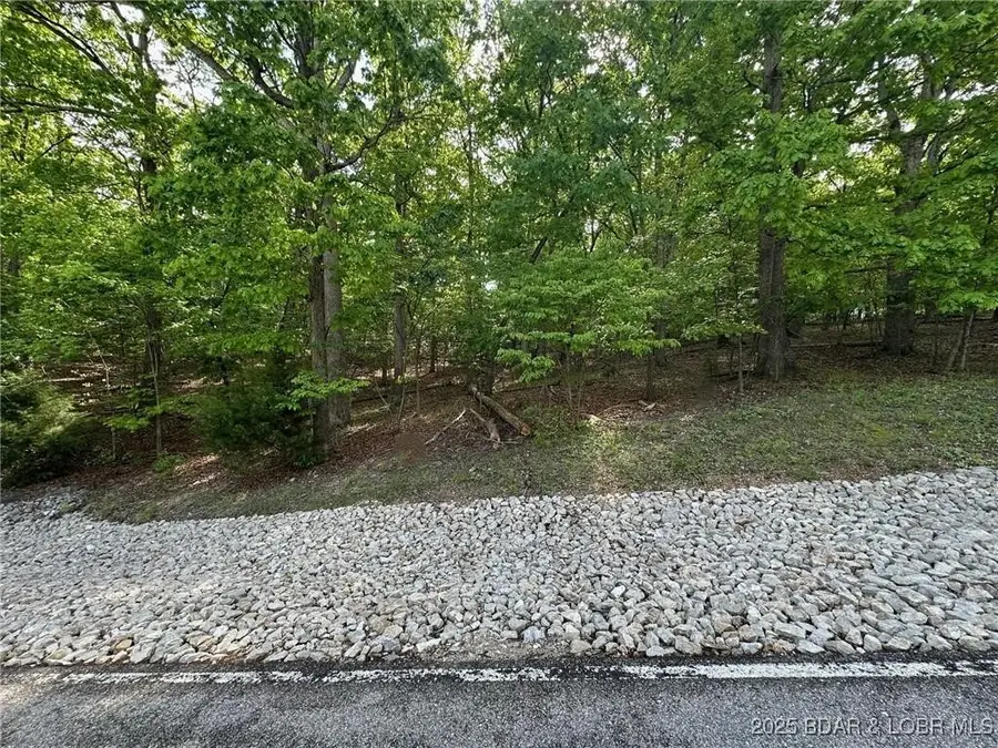 Lot 163 & 164 Imperial Point Drive, Village Of Four Seasons, MO 65048 - Image #2
