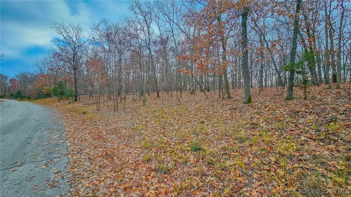 Lot #302 Lake Drive, Sunrise Beach, MO 65079 - Image #1