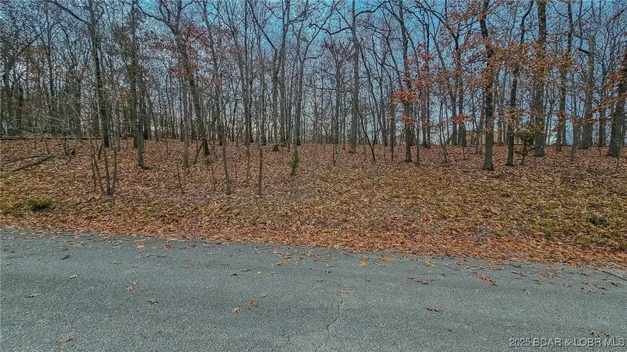 Lot #302 Lake Drive, Sunrise Beach, MO 65079 - Image #2