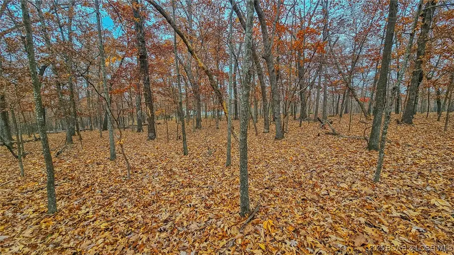 Lot #274 Grand Point Boulevard, Sunrise Beach, MO 65079 - Image #3