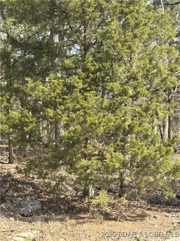 TBD Cambridge Dr., Four Seasons, MO 65049