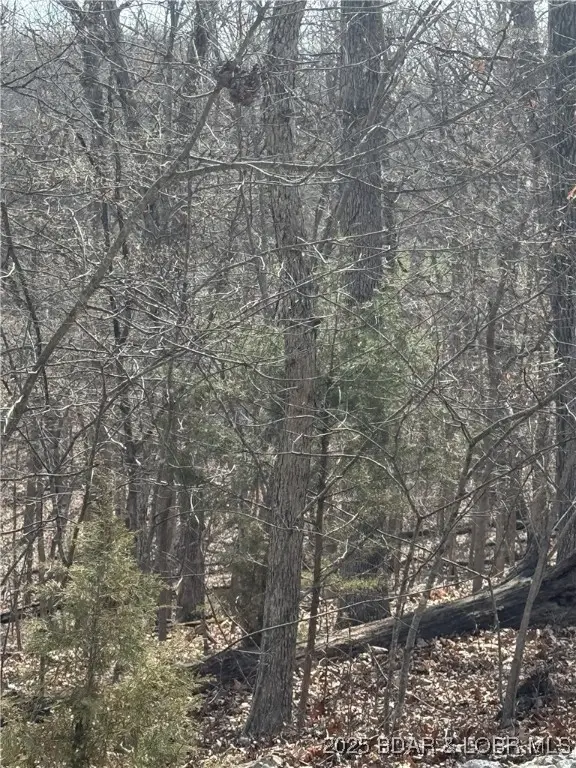 TBD Cambridge Dr., Village Of Four Seasons, MO 65049 - Image #2