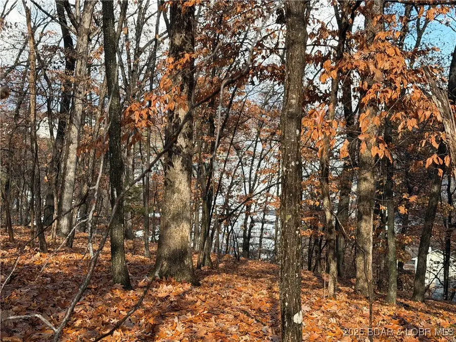 Lot 46 Carol Road, Lake Ozark, MO 65049 - Image #2