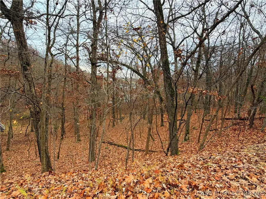 Lot 59 Grand Cove Road, Sunrise Beach, MO 65079 - Image #2