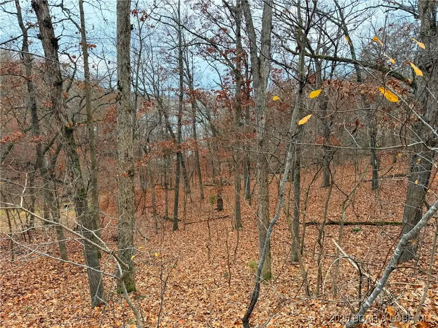 Lot 59 Grand Cove Road, Sunrise Beach, MO 65079 - Image #3