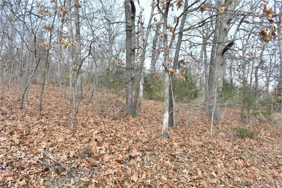 Lot 32 Forrest Hills Drive, Lake Ozark, MO 65049 - Image #3